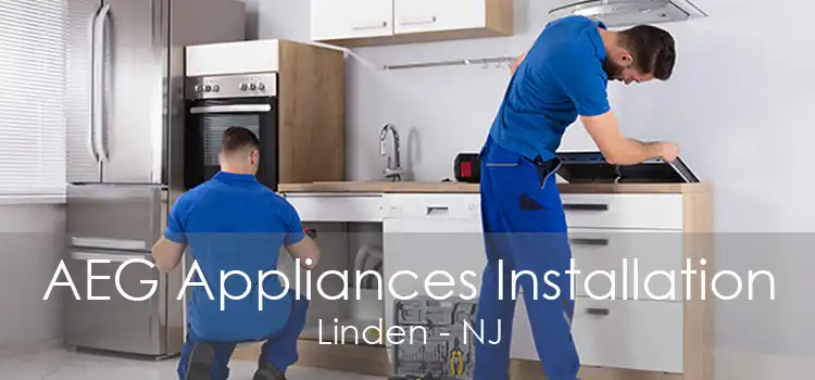 AEG Appliances Installation Linden - NJ