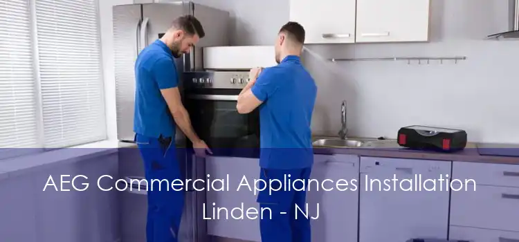 AEG Commercial Appliances Installation Linden - NJ