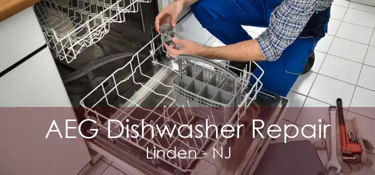 AEG Dishwasher Repair Linden - NJ