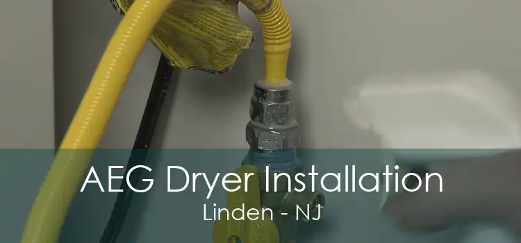 AEG Dryer Installation Linden - NJ