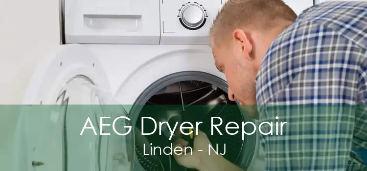 AEG Dryer Repair Linden - NJ