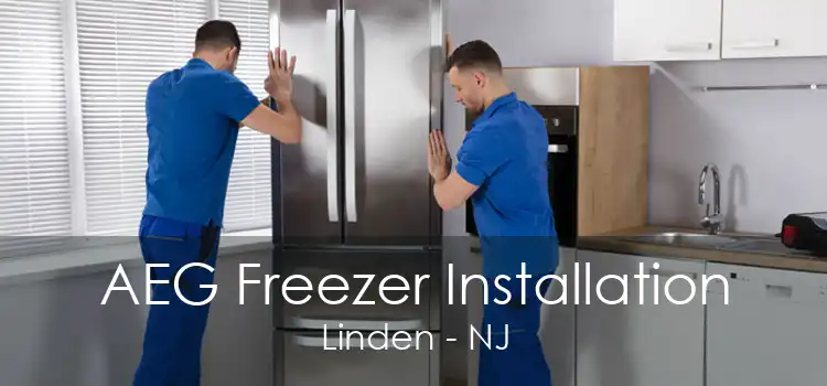 AEG Freezer Installation Linden - NJ