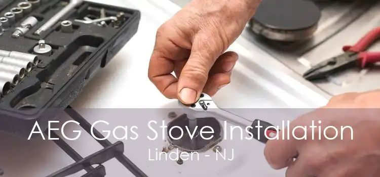 AEG Gas Stove Installation Linden - NJ