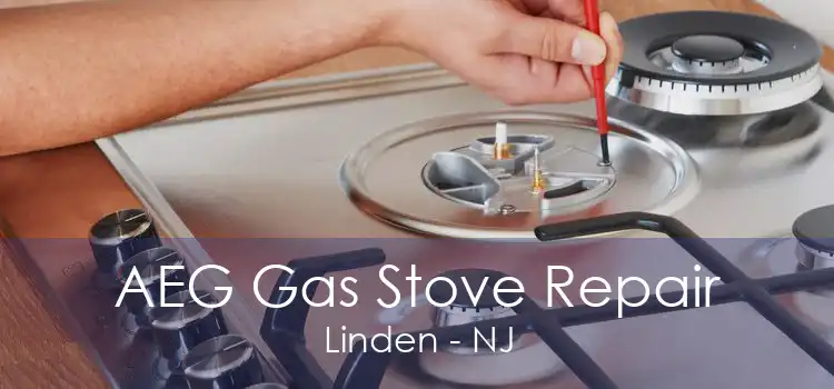 AEG Gas Stove Repair Linden - NJ