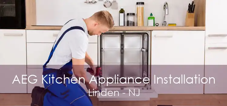 AEG Kitchen Appliance Installation Linden - NJ