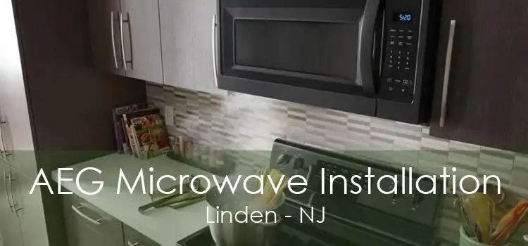 AEG Microwave Installation Linden - NJ
