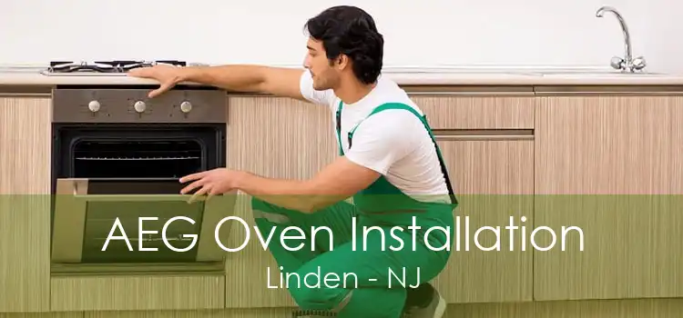 AEG Oven Installation Linden - NJ
