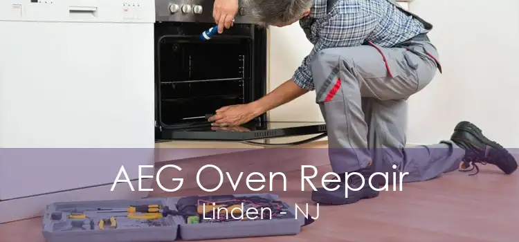 AEG Oven Repair Linden - NJ
