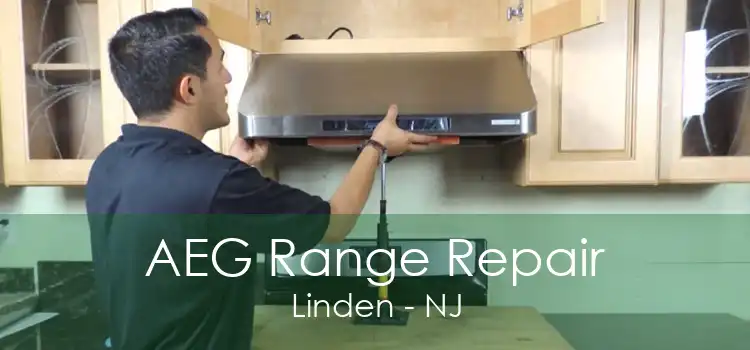 AEG Range Repair Linden - NJ