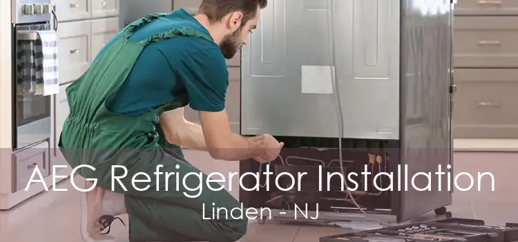 AEG Refrigerator Installation Linden - NJ