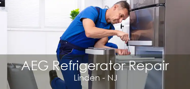 AEG Refrigerator Repair Linden - NJ