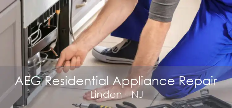 AEG Residential Appliance Repair Linden - NJ