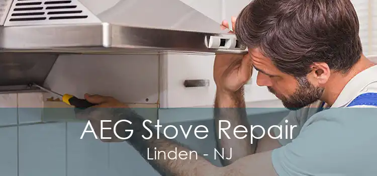 AEG Stove Repair Linden - NJ