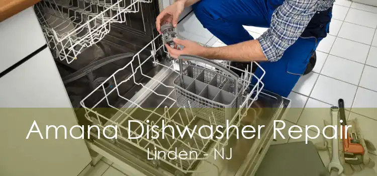 Amana Dishwasher Repair Linden - NJ