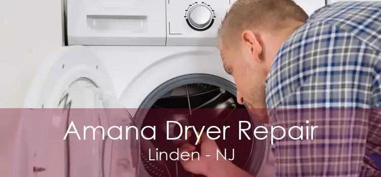 Amana Dryer Repair Linden - NJ