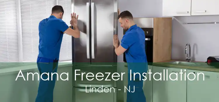 Amana Freezer Installation Linden - NJ