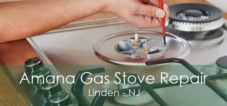 Amana Gas Stove Repair Linden - NJ