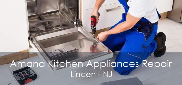 Amana Kitchen Appliances Repair Linden - NJ