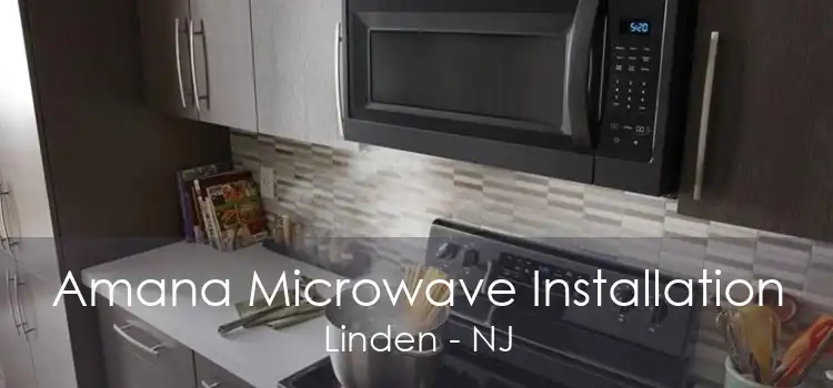 Amana Microwave Installation Linden - NJ