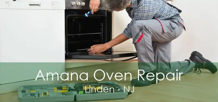 Amana Oven Repair Linden - NJ