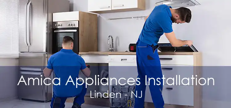 Amica Appliances Installation Linden - NJ