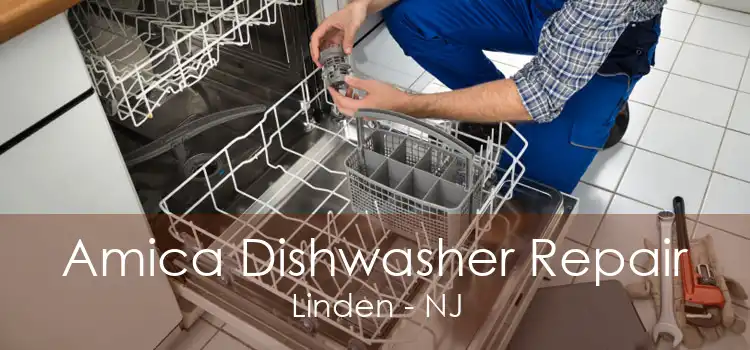 Amica Dishwasher Repair Linden - NJ
