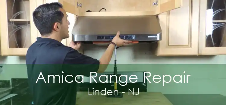 Amica Range Repair Linden - NJ