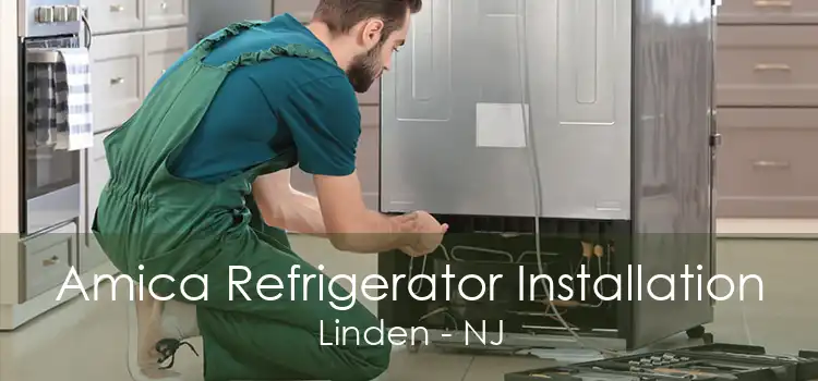 Amica Refrigerator Installation Linden - NJ