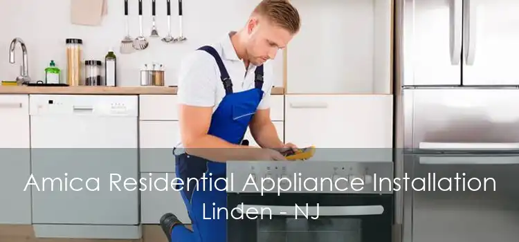 Amica Residential Appliance Installation Linden - NJ