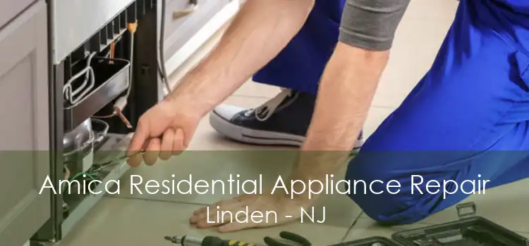 Amica Residential Appliance Repair Linden - NJ