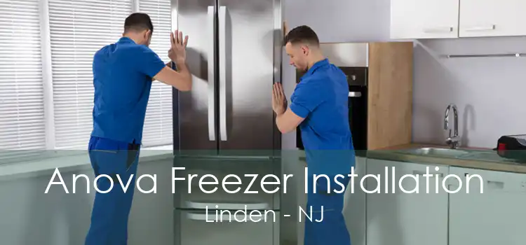 Anova Freezer Installation Linden - NJ