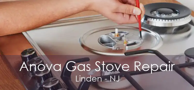 Anova Gas Stove Repair Linden - NJ
