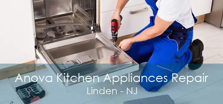 Anova Kitchen Appliances Repair Linden - NJ
