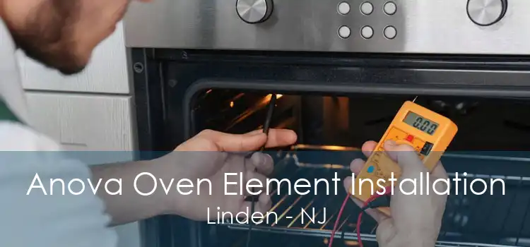 Anova Oven Element Installation Linden - NJ