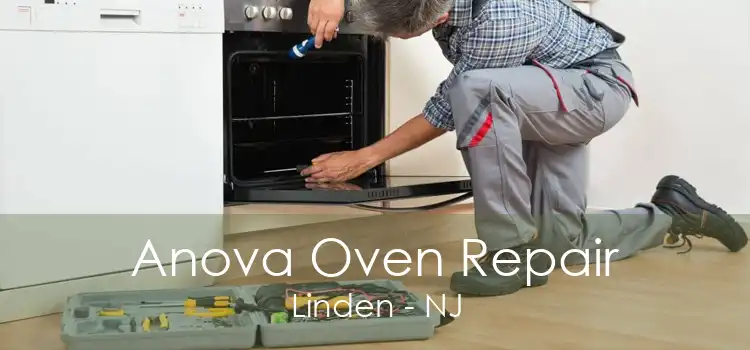 Anova Oven Repair Linden - NJ