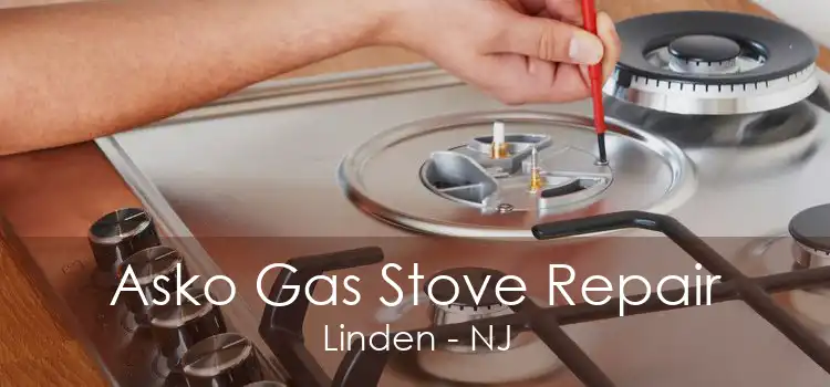 Asko Gas Stove Repair Linden - NJ