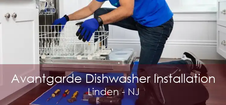 Avantgarde Dishwasher Installation Linden - NJ