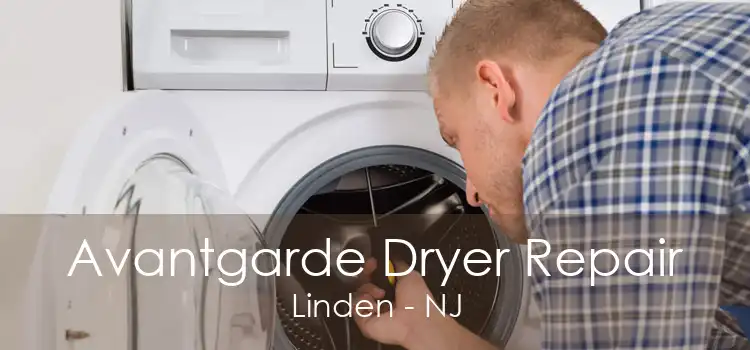 Avantgarde Dryer Repair Linden - NJ