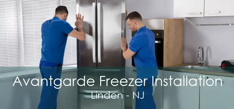 Avantgarde Freezer Installation Linden - NJ