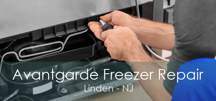 Avantgarde Freezer Repair Linden - NJ