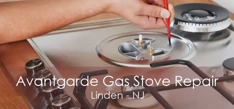 Avantgarde Gas Stove Repair Linden - NJ