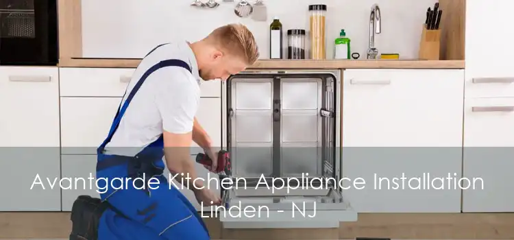 Avantgarde Kitchen Appliance Installation Linden - NJ