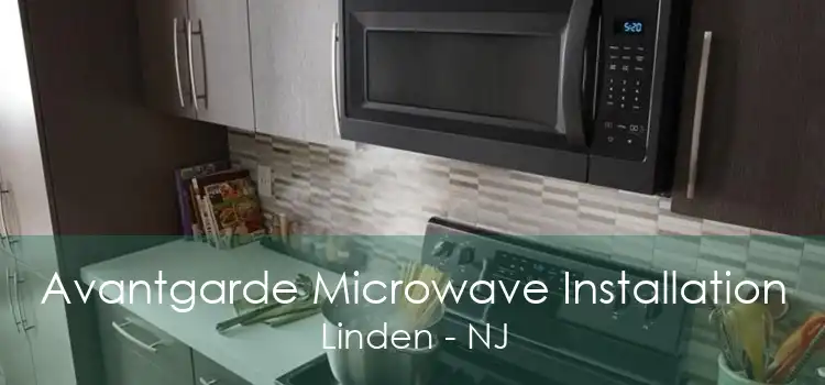 Avantgarde Microwave Installation Linden - NJ
