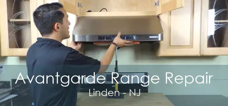 Avantgarde Range Repair Linden - NJ