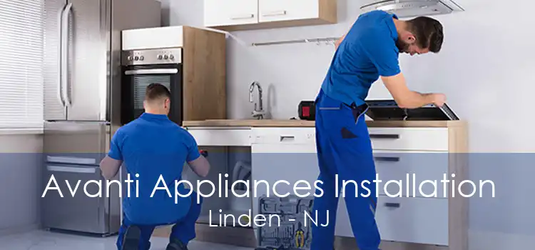 Avanti Appliances Installation Linden - NJ