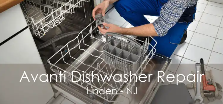 Avanti Dishwasher Repair Linden - NJ