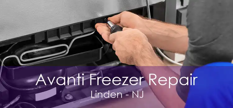 Avanti Freezer Repair Linden - NJ