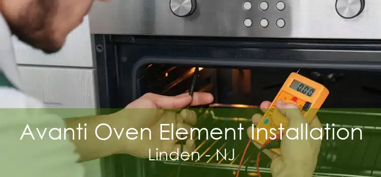 Avanti Oven Element Installation Linden - NJ