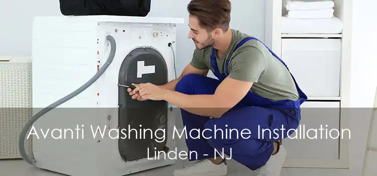 Avanti Washing Machine Installation Linden - NJ