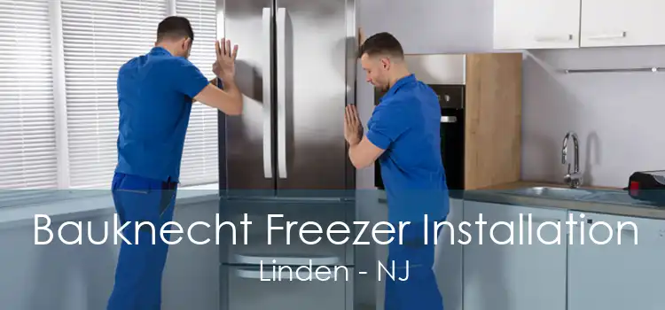 Bauknecht Freezer Installation Linden - NJ
